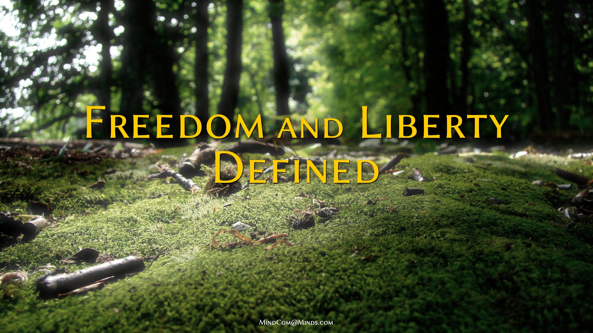 Freedom and Liberty Defined TheGreatWork.