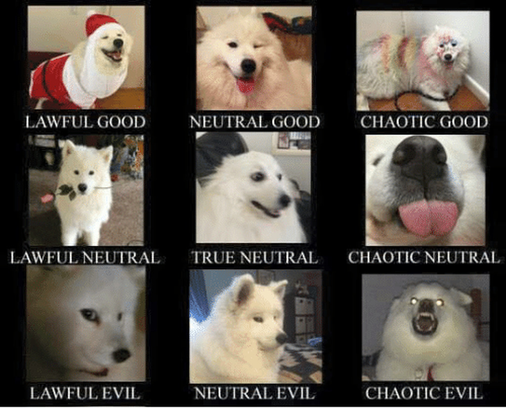 Meme true neutral dog