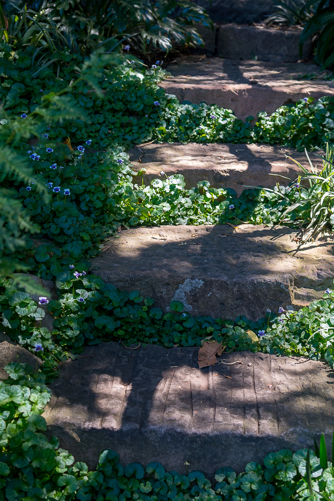 AI caption: a stone path leading to a bench, landscape