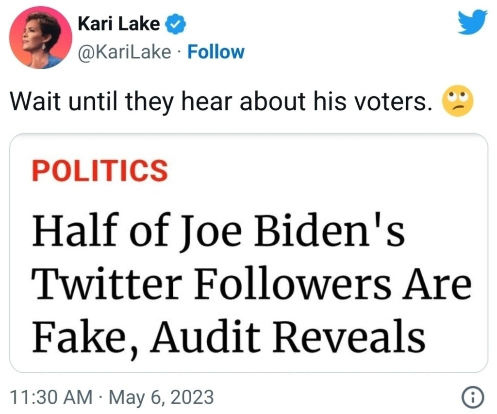 AI caption: a tweet that says joe biden's twitter followers are fake, a tweet