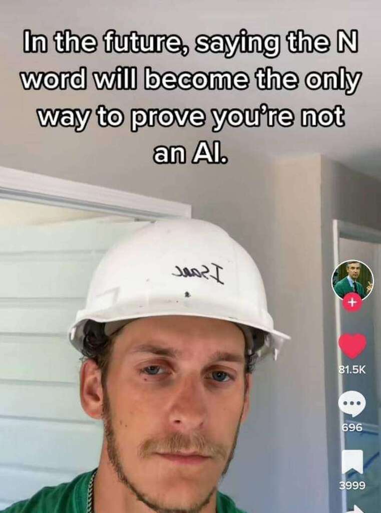 AI caption: in the future, saying the n word will become the only way to prove you're not an ai, it is a meme