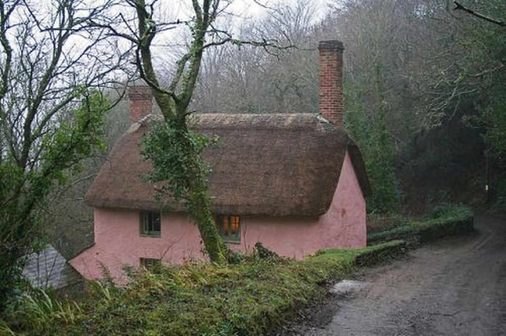 AI caption: a pink house with a thatched roof on a dirt road, a cottage