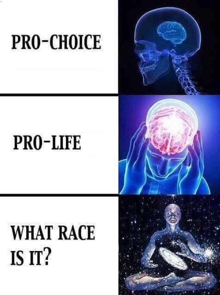 AI caption: a picture of a brain with the words pro choice pro life what race is it, meme