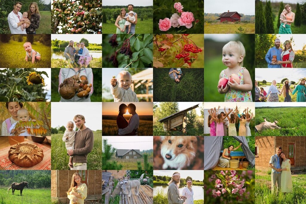AI caption: a collage of photos of a family in a field, collage