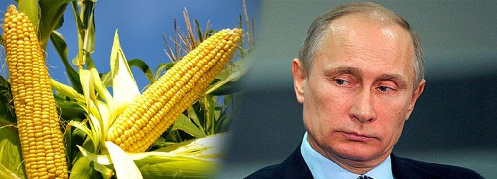 AI caption: a picture of a corn cob and a picture of vladimir putin, portrait
