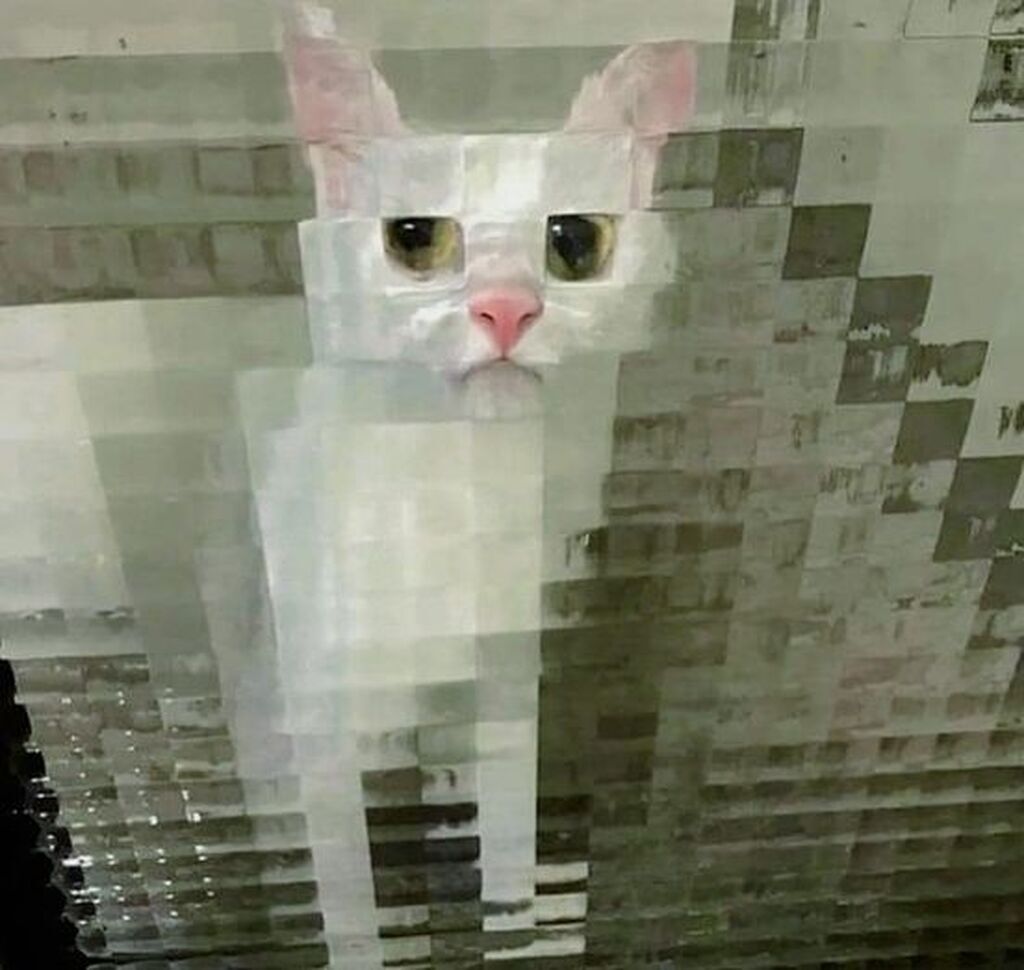 AI caption: a white cat is standing in front of a glass wall, mosaic