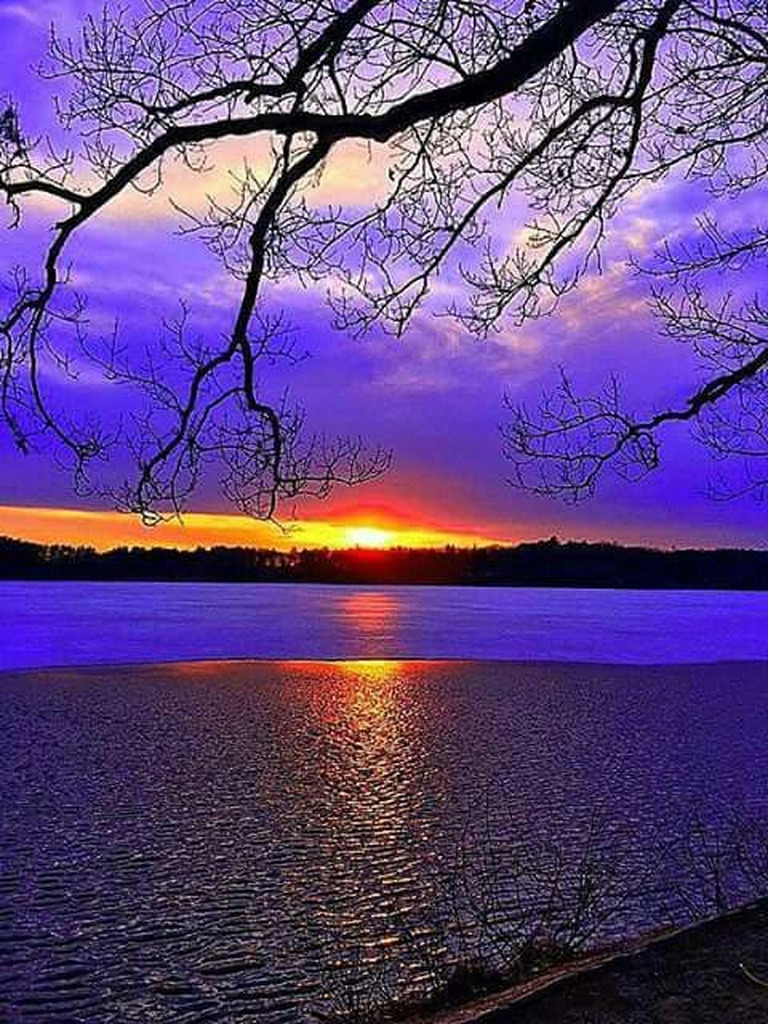 AI caption: the sun is setting over a lake with trees, abstract