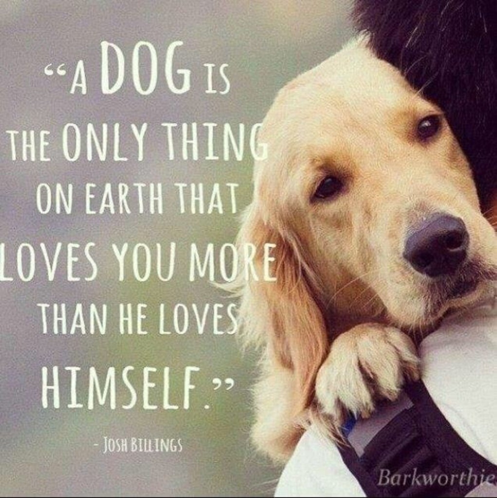 AI caption: a dog is the only thing that loves you more than he loves himself, black and white