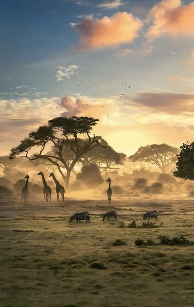 AI caption: giraffes and zebras in the mist at sunrise, abstract