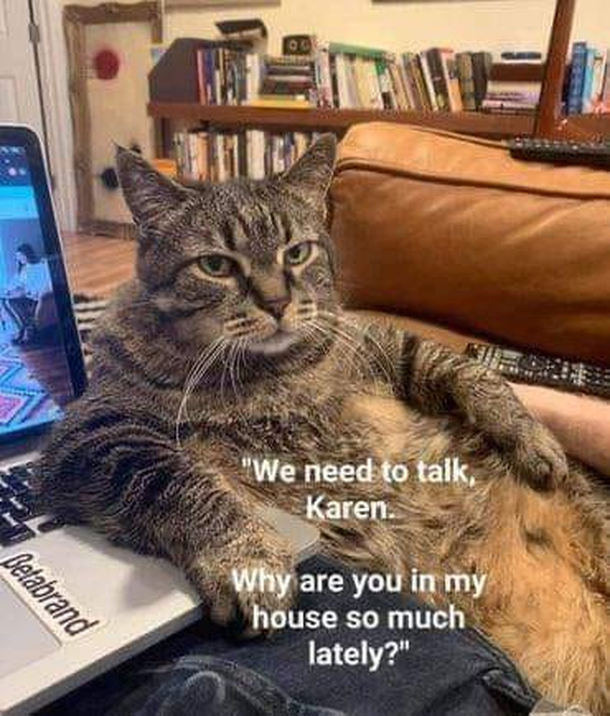 AI caption: a cat sitting on a laptop with the words we need to talk karen why are you in my house so lazy, cartoon