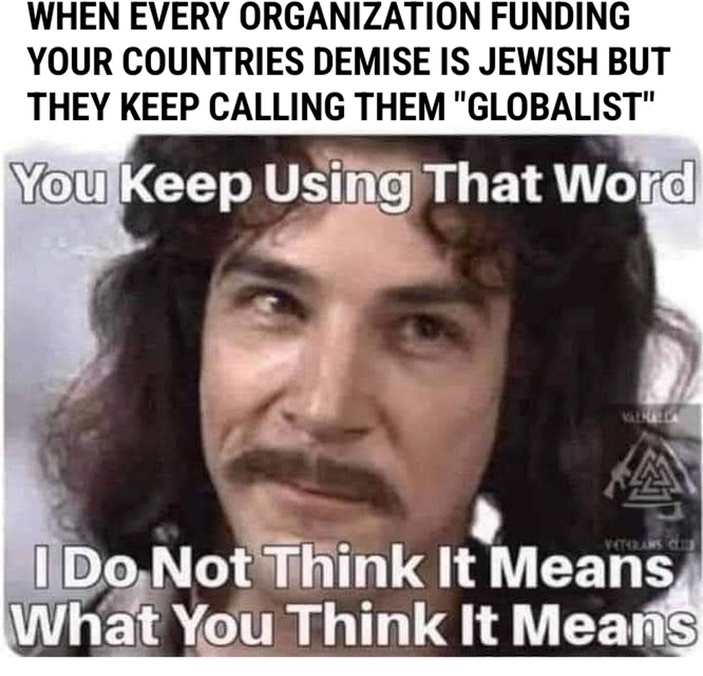 AI caption: a meme with the words, when organization funding your countries keep using the word globalist, meme