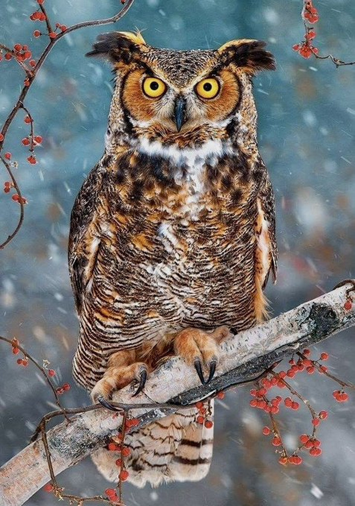 AI caption: a great horned owl is sitting on a branch in the snow, black and white