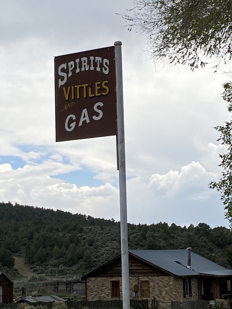 AI caption: a small building with a sign that says own of lone inc, old fashioned spirits of vitlettes gas sign
