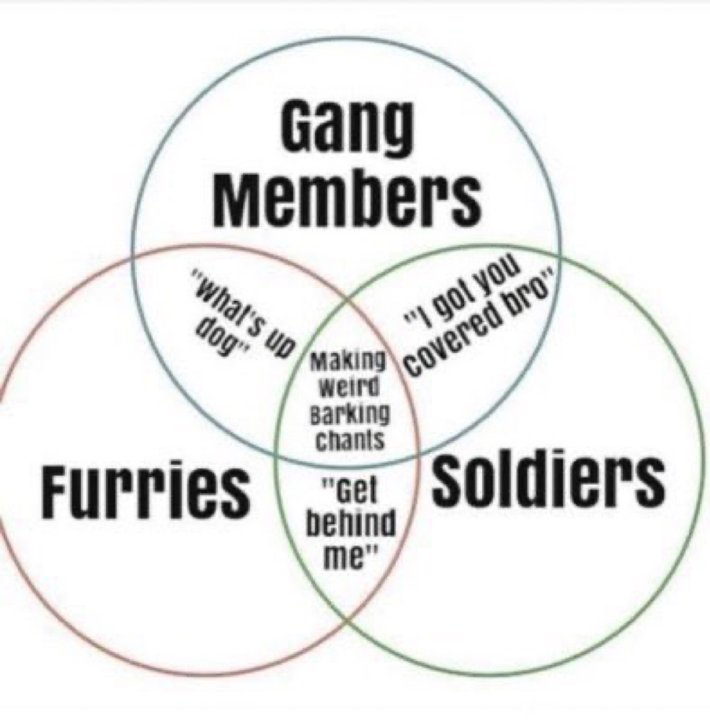 AI caption: a venn diagram with the words gang members and furries, venn diagram