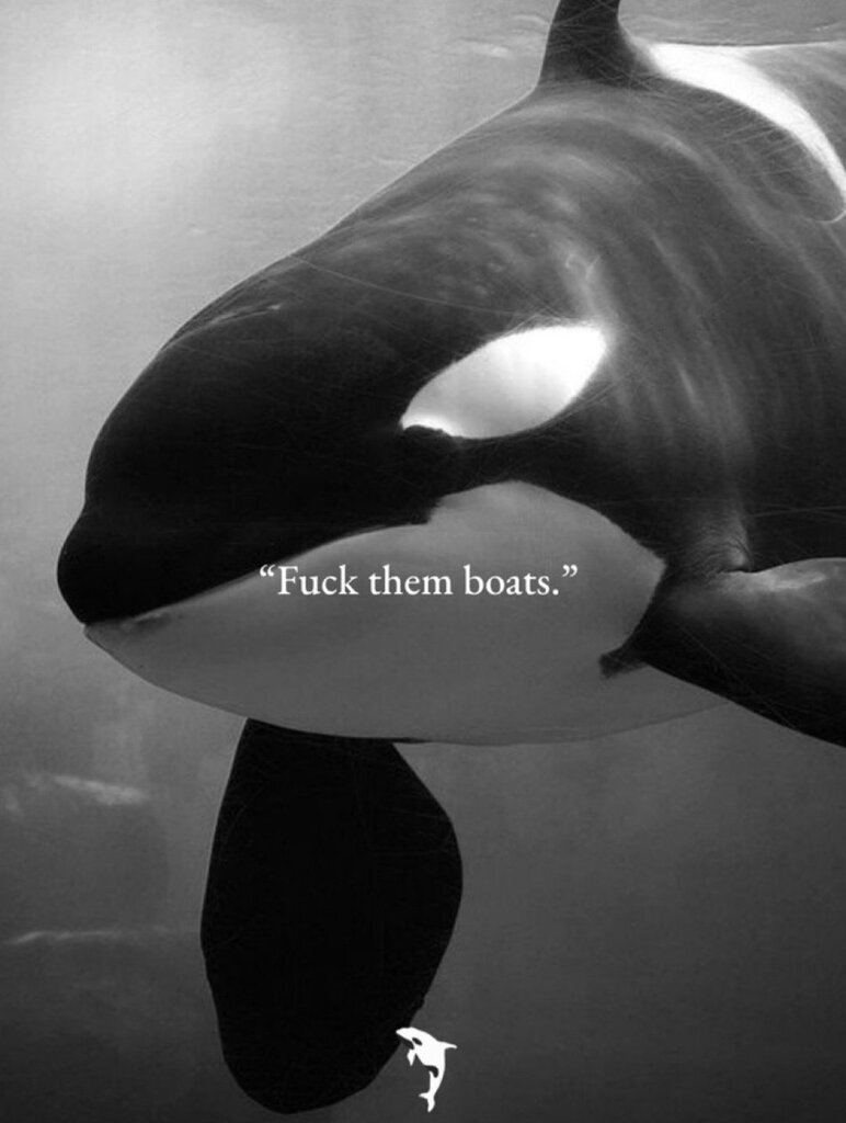 AI caption: a black and white photo of an orca whale with the words fuck them, black and white