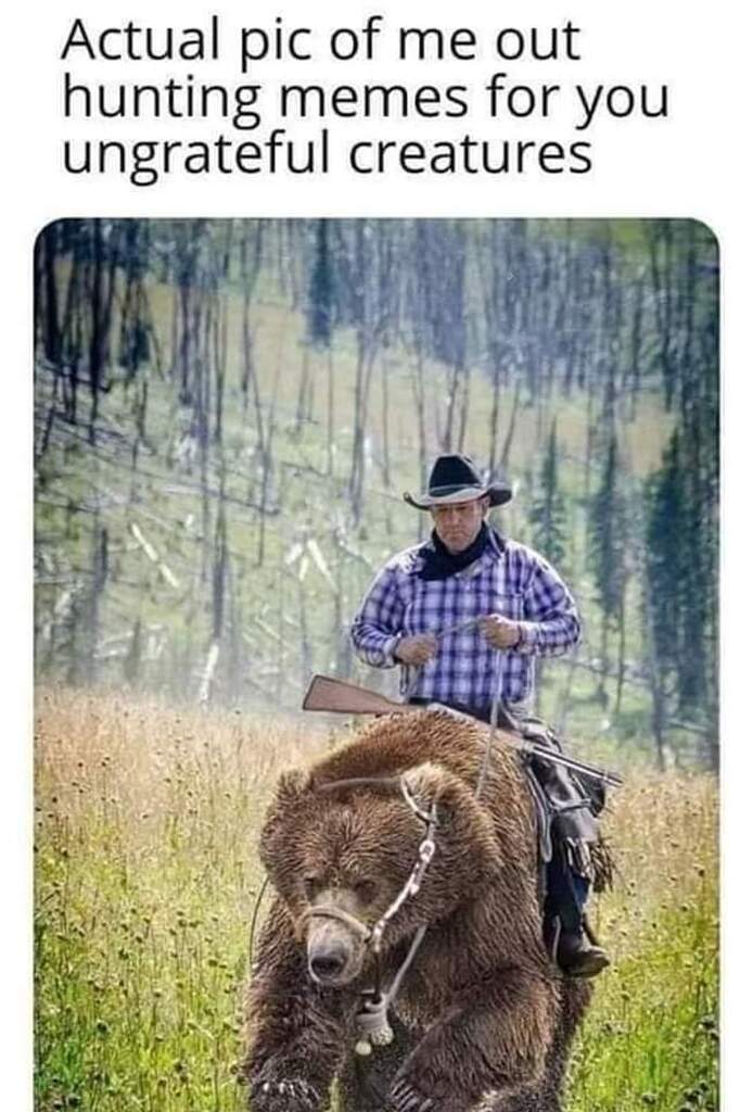 AI caption: an actual picture of me out hunting memes for uncreatures, cartoon