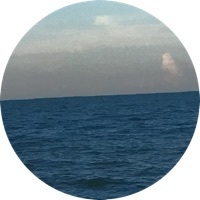 Minds profile picture for @mildly