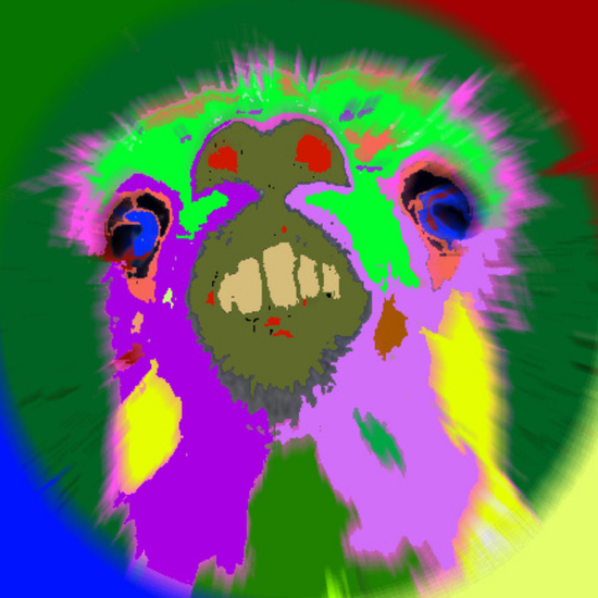 Minds profile picture for @crackling