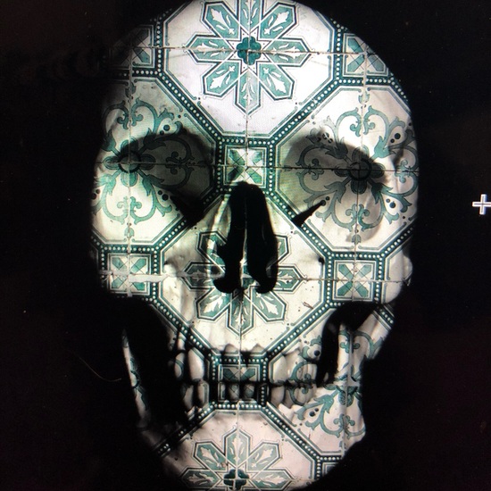 Minds profile picture for @hasty