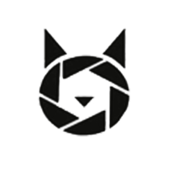 Minds profile picture for @angora