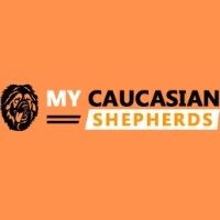 Minds profile picture for @caucasian
