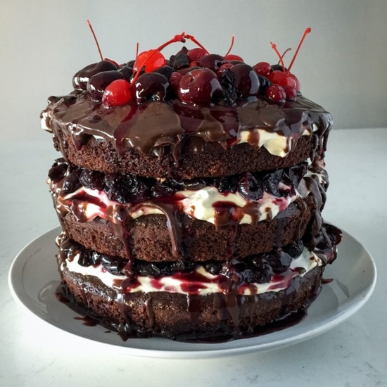 Stellaexclusive (@stellaexclusive) | Minds