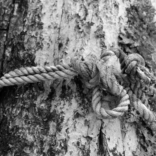 Minds profile picture for @defrost