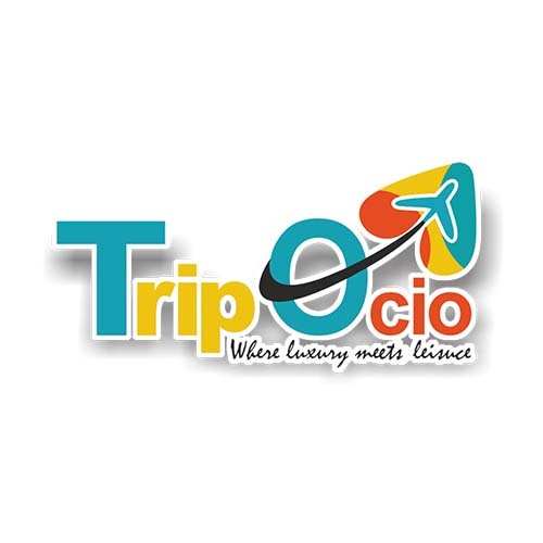 Minds profile picture for @tripocio