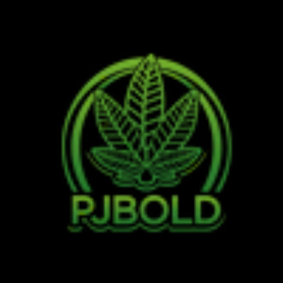 Minds profile picture for @pjbold