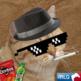 Minds profile picture for @Delirious