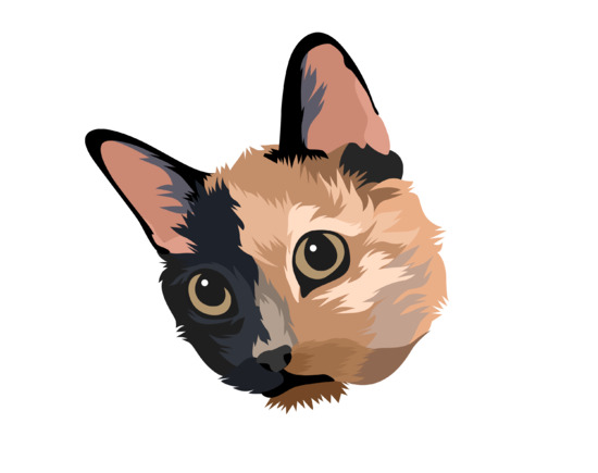 Minds profile picture for @Anime