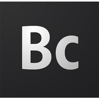 Minds profile picture for @BC
