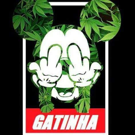 Minds profile picture for @Gatinha