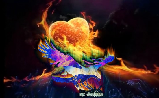 Minds profile picture for @nl