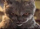 Minds profile picture for @MrCat