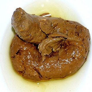 Minds profile picture for @turds