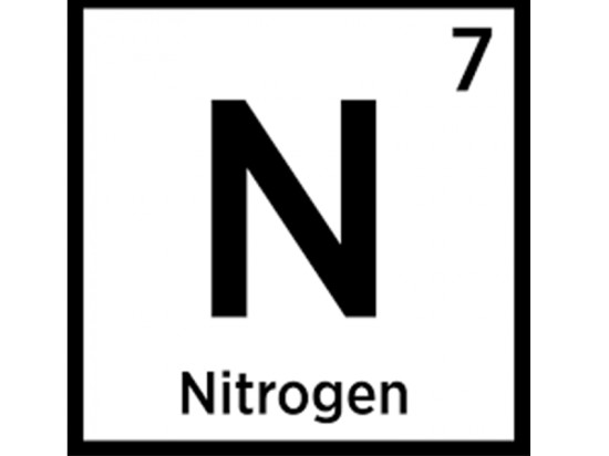 Minds profile picture for @Nitrogen