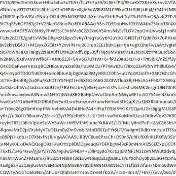 Minds profile picture for @nimrod