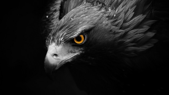 Minds profile picture for @Faithless