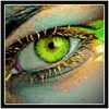 Minds profile picture for @verga