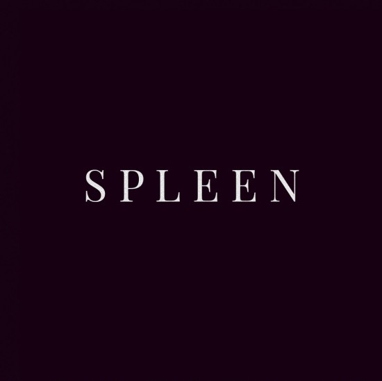 Minds profile picture for @Spleen