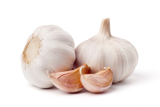 Minds profile picture for @garlic