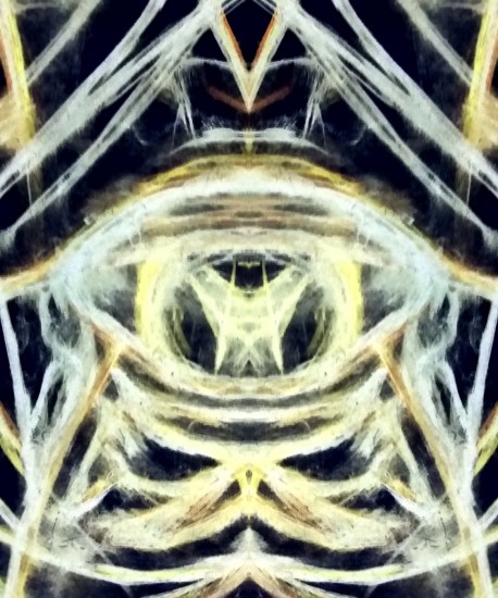 Minds profile picture for @Reactionary