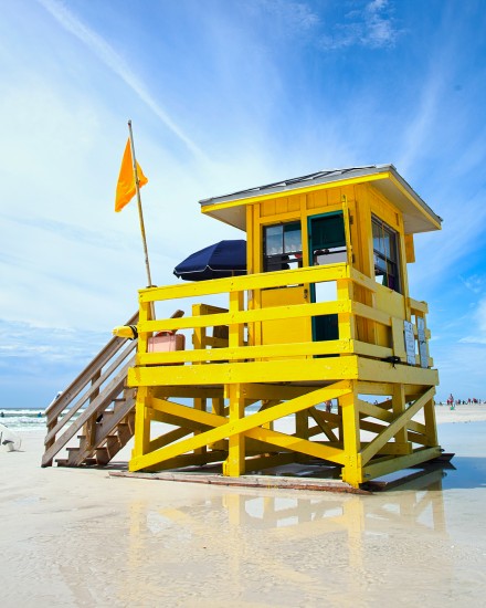 Minds profile picture for @sarasota