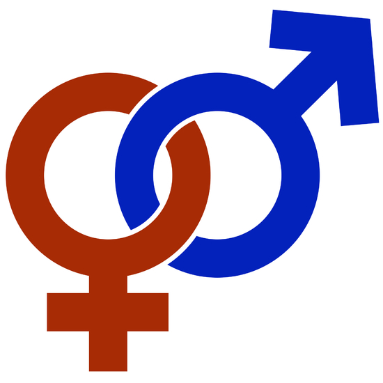 Minds profile picture for @gender
